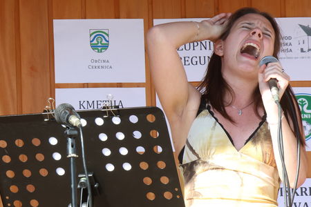 Kulturna prireditev Na lepi Menišiji 23 Foto Ljubo Vukelič